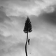 Image for article titled Tyler, The Creator, Manchester Orchestra, and more in this week’s music reviews
